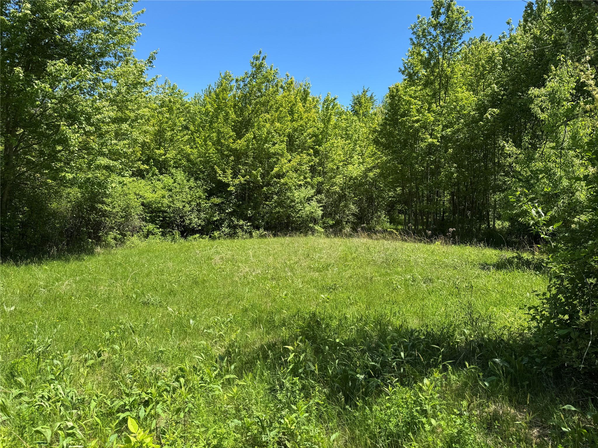 #1 photo, TBD Parcel 1 Woodstock Road, Millbrook , NY 12545