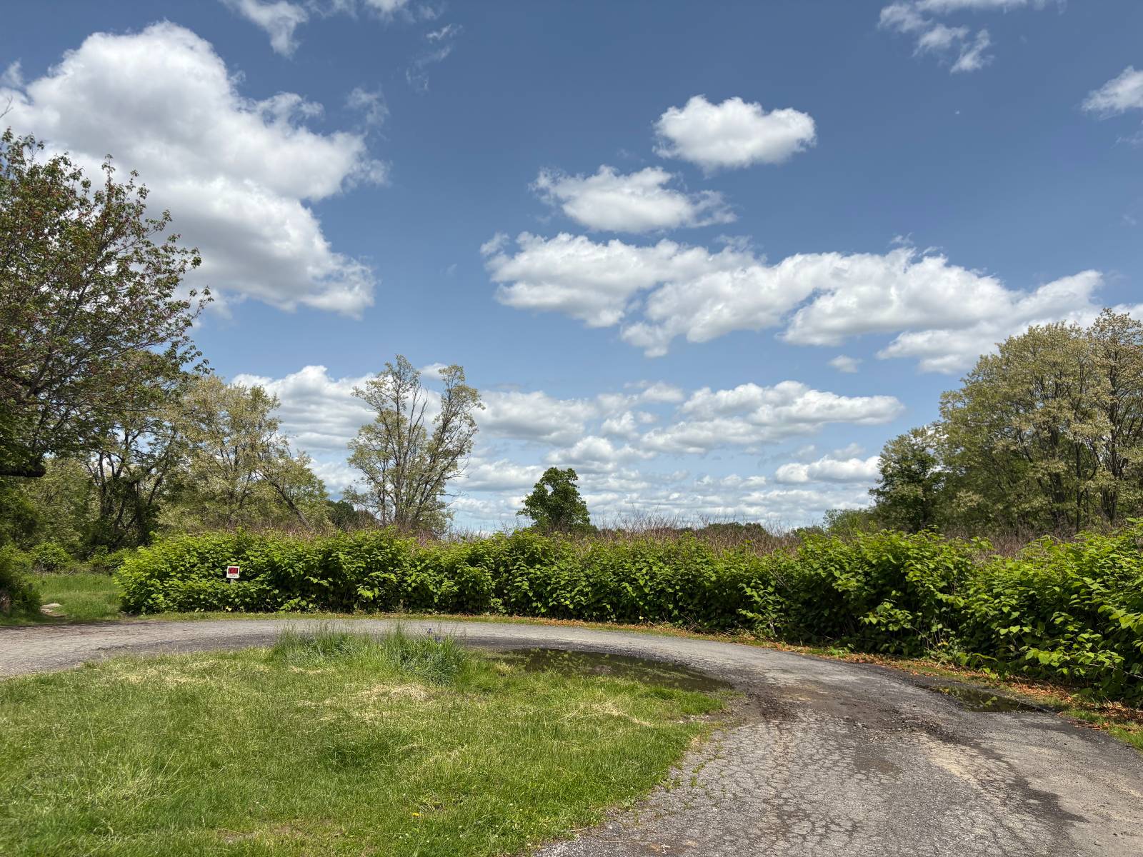 #1 photo, 114 North Street, Delmar , NY 12054