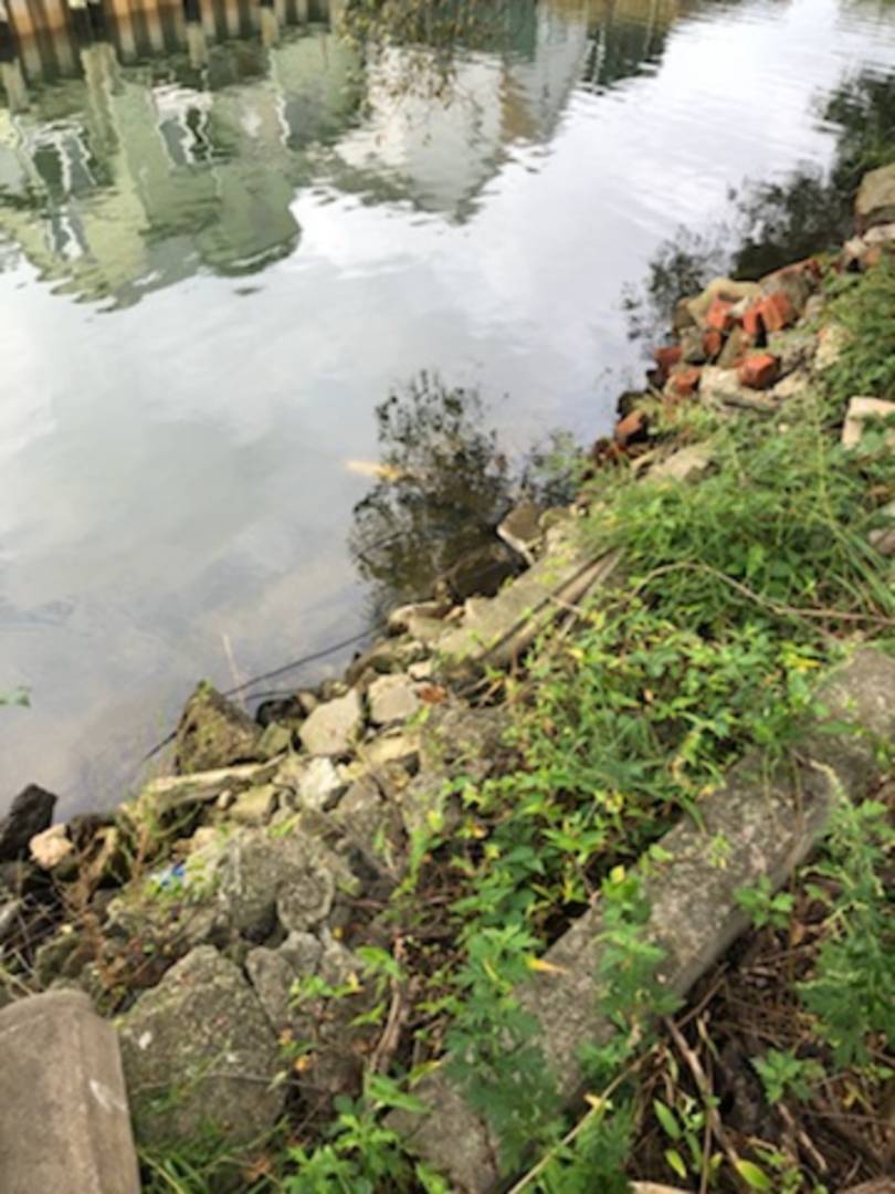 #6 photo, 1st Street Howard Beach, クイーンズ区 Queens , NY 11414