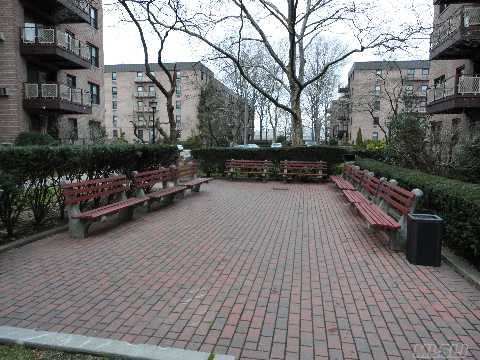 #1 photo, 3 Birchwood Ct, 長島 Mineola , NY 11501