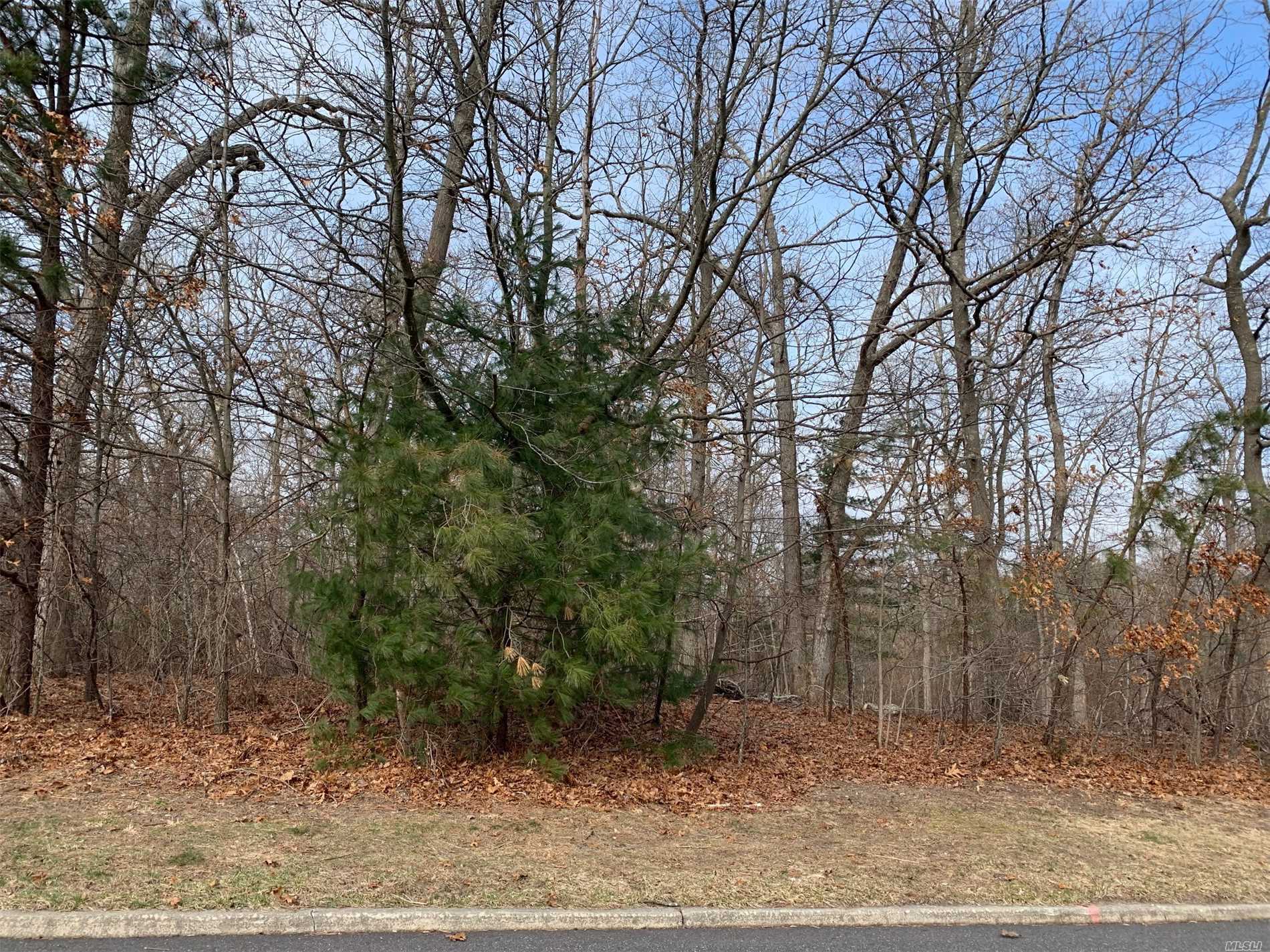 #1 photo, Bunker Lane, Саффолк ‖ Middle Island , NY 11953