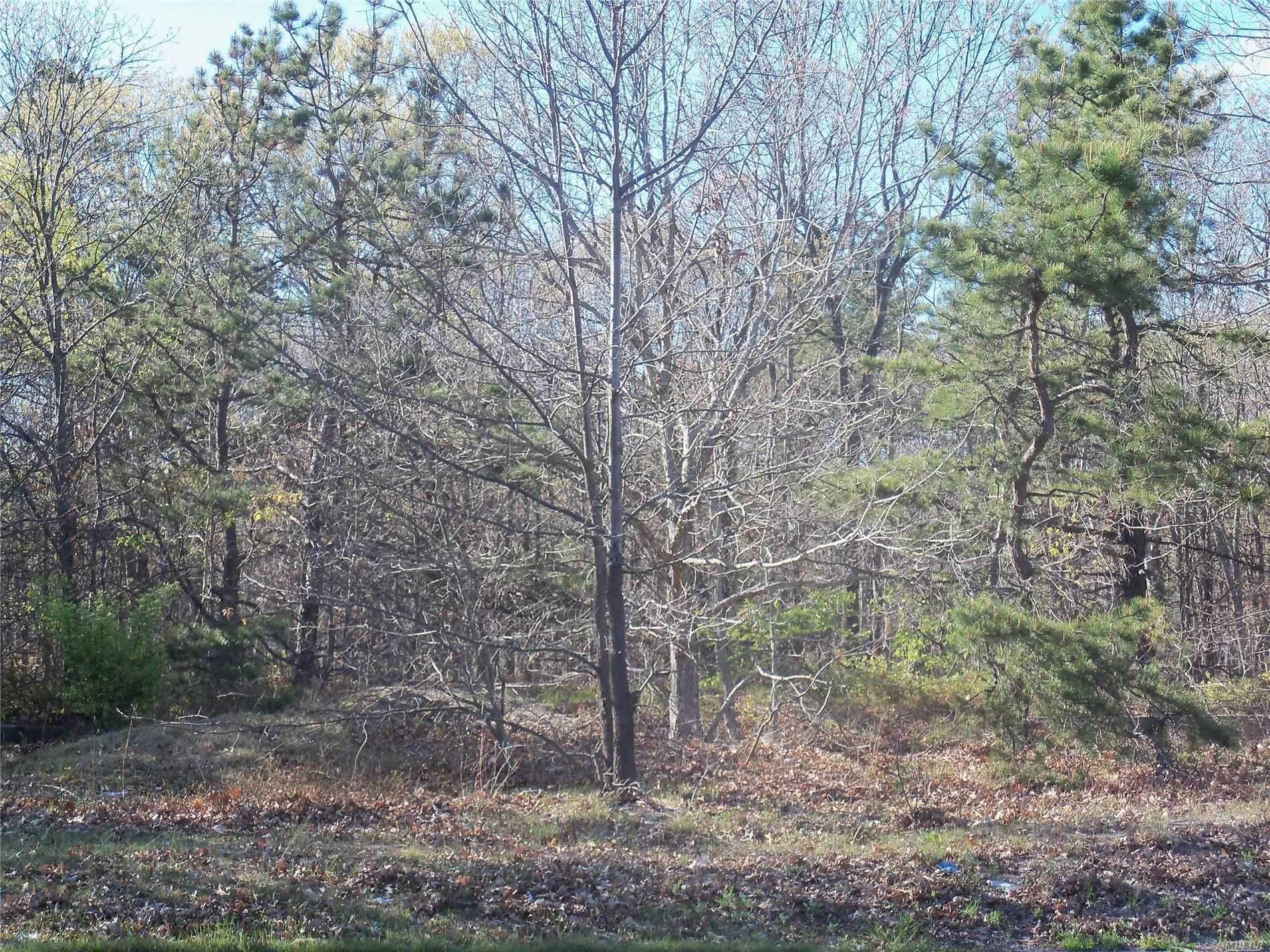 #1 photo, Granny Road, Medford , NY 11763