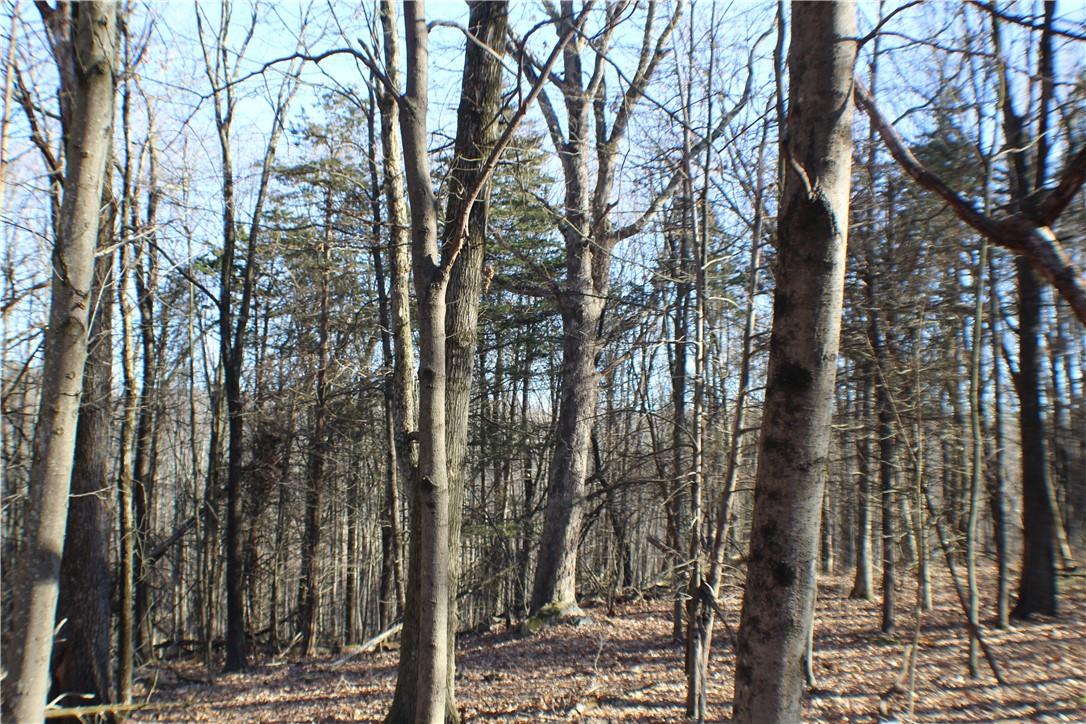 #10 photo, 9 Sky View Court, Newburgh , NY 12550