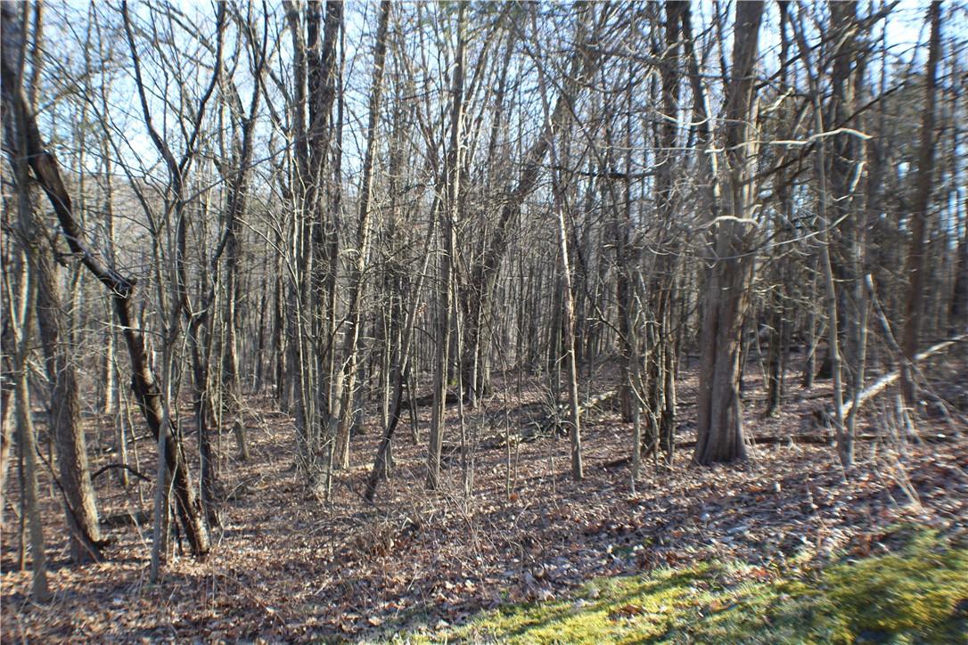 #9 photo, 9 Sky View Court, Newburgh , NY 12550