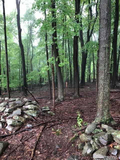 #1 photo, 45 Hammond Lane, Plattekill , NY 12568