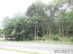 #1 photo, 167 Terry Road, 东长岛 史密斯敦 Smithtown , NY 11787