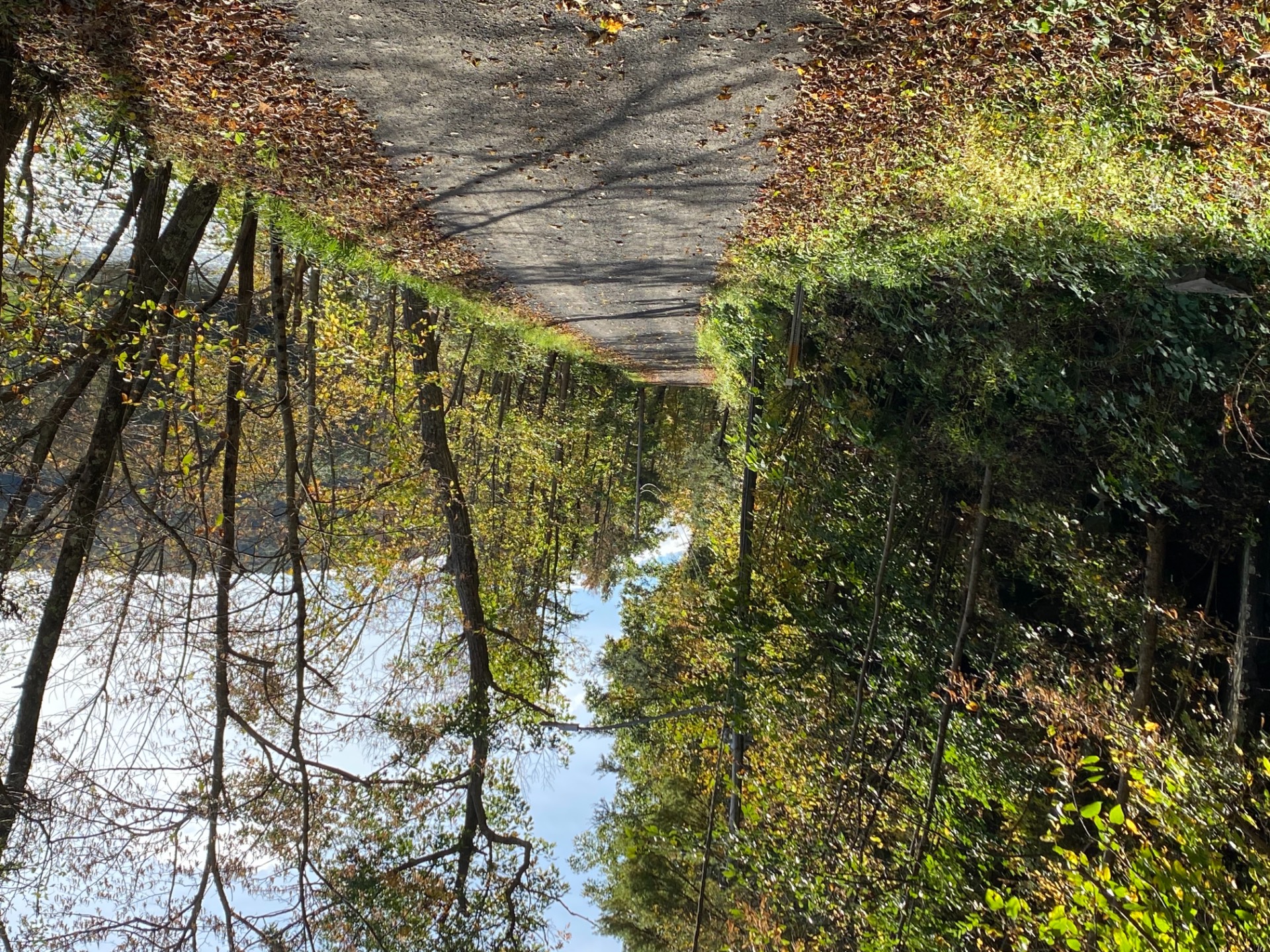 #16 photo, 0 Yendes, Hancock , NY 13783