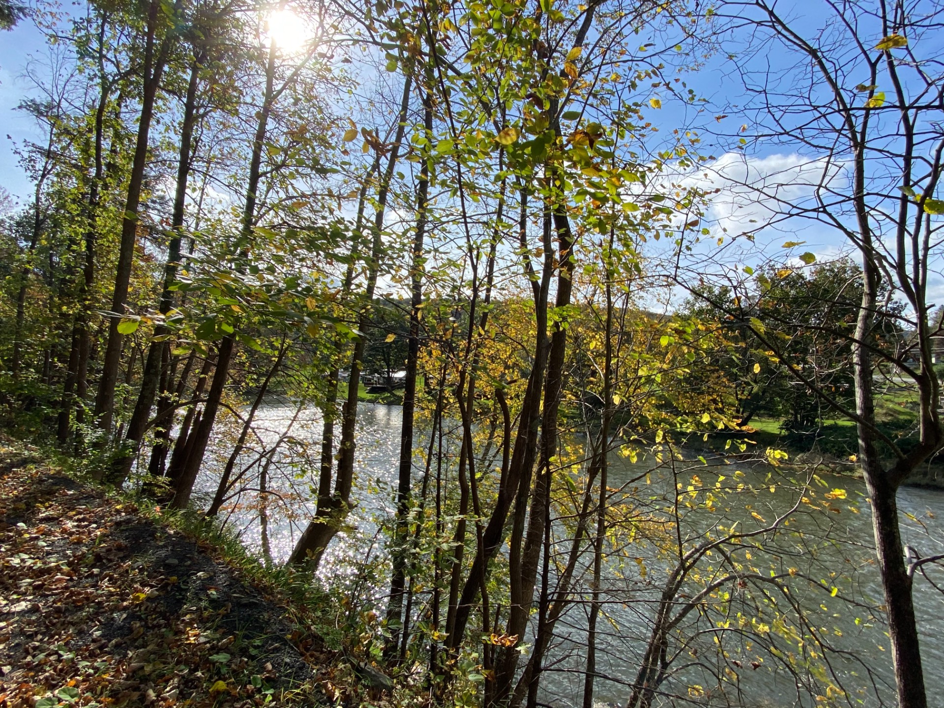 #17 photo, 0 Yendes, Hancock , NY 13783