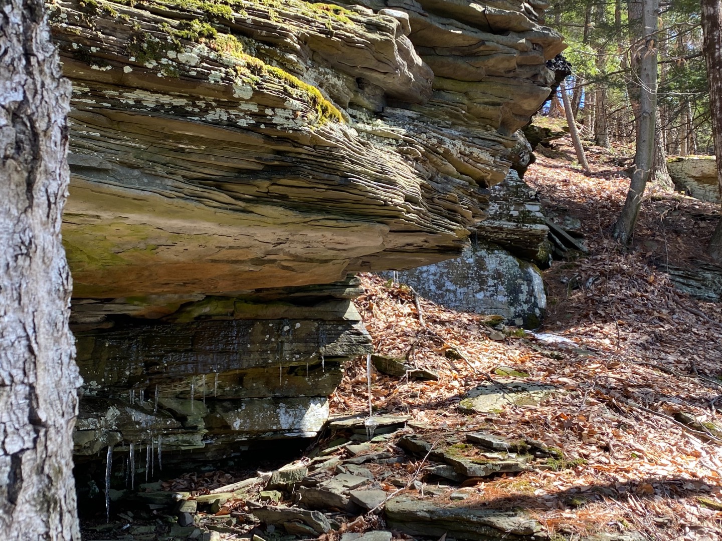 #5 photo, 0 Yendes, Hancock , NY 13783