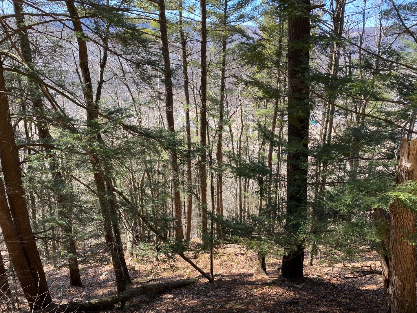 #7 photo, 0 Yendes, Hancock , NY 13783