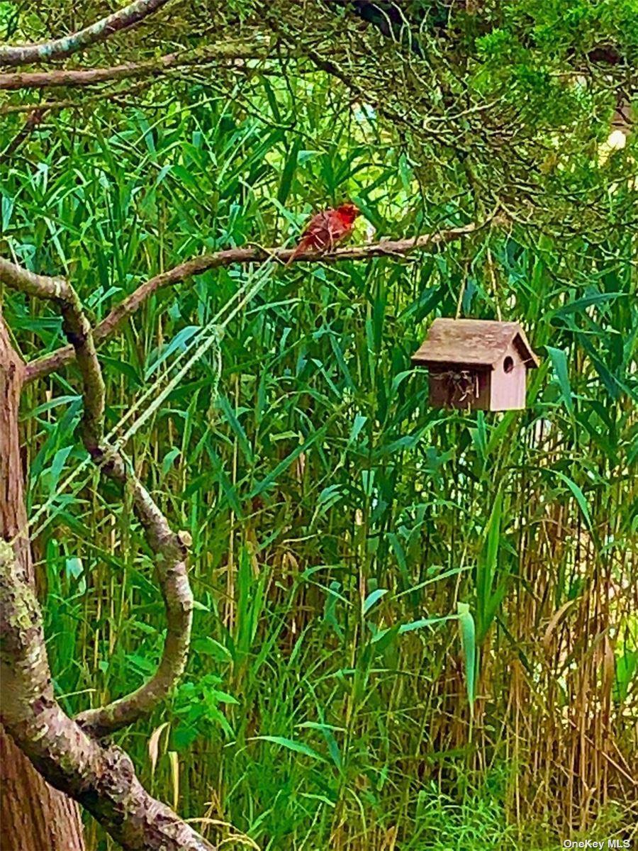 #12 photo, 30 Gale Walk, Seaview , NY 11770