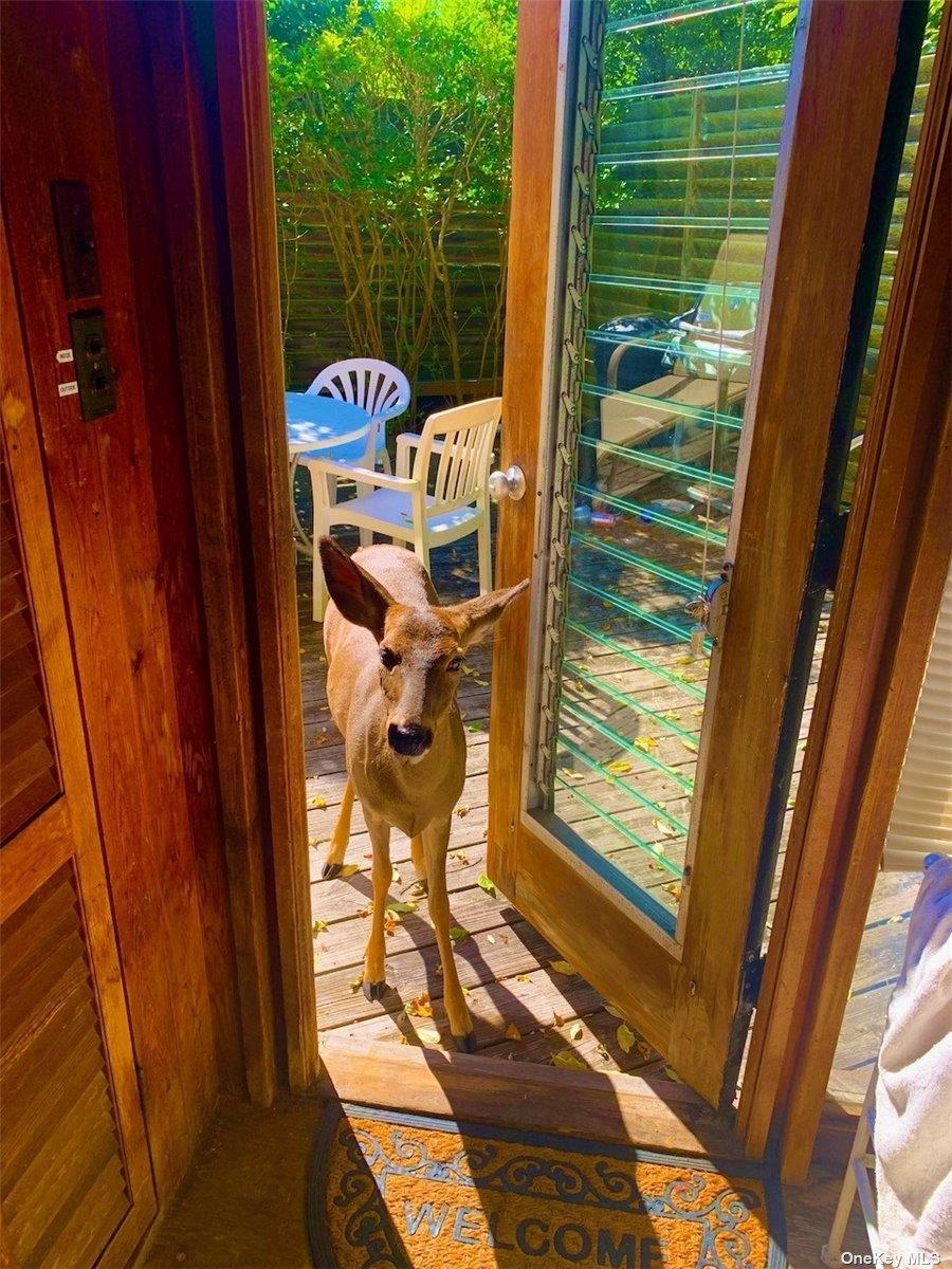 #13 photo, 30 Gale Walk, Seaview , NY 11770