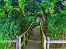 30 Gale Walk 艾斯利普 Seaview, NY