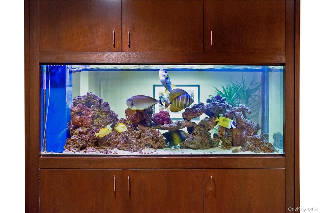 #3 photo, 500 Mamaroneck Avenue, Harrison , NY 10528