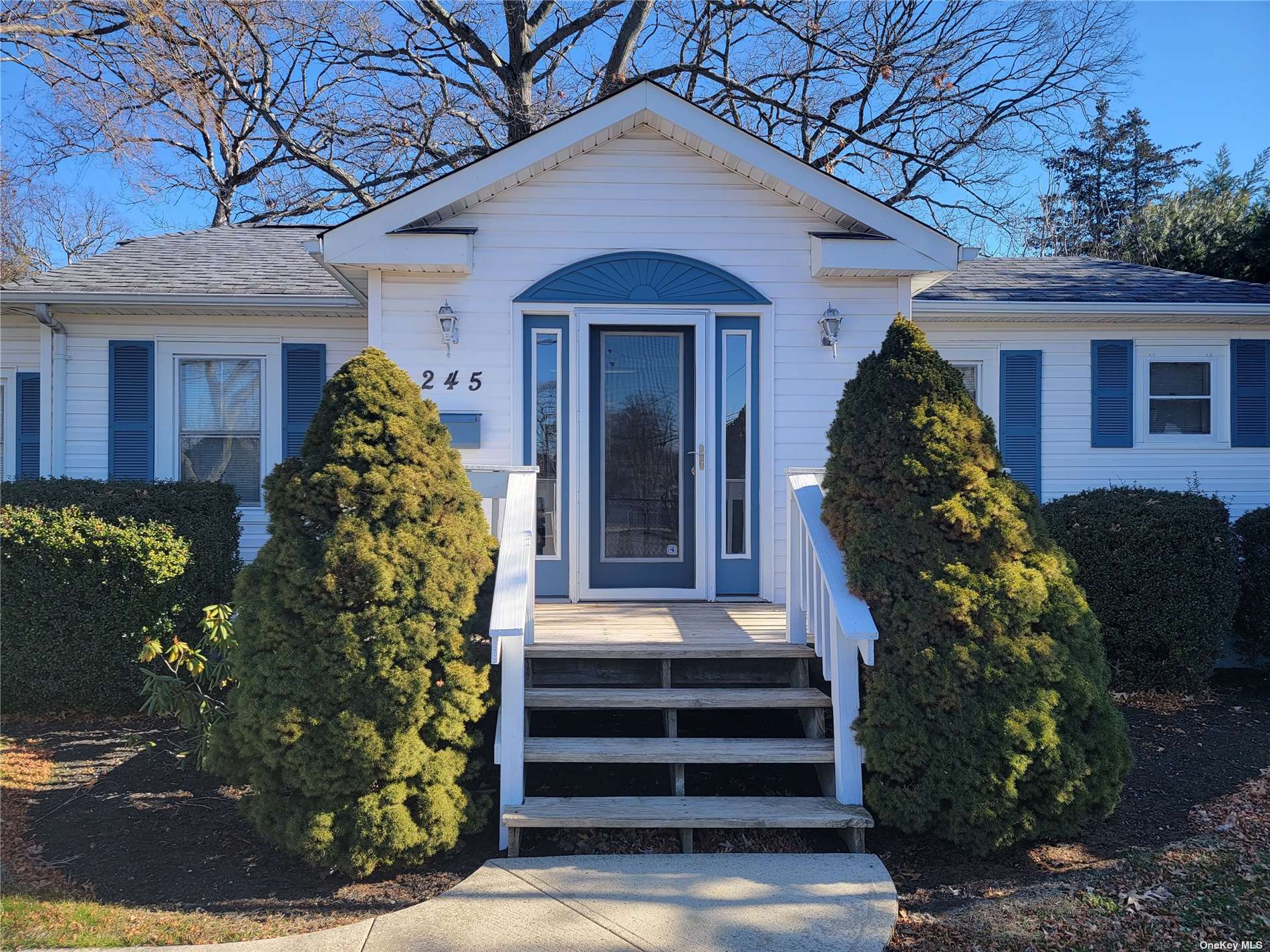 #1 photo, 245 Ronkonkoma Avenue, 東長島 Ronkonkoma , NY 11779