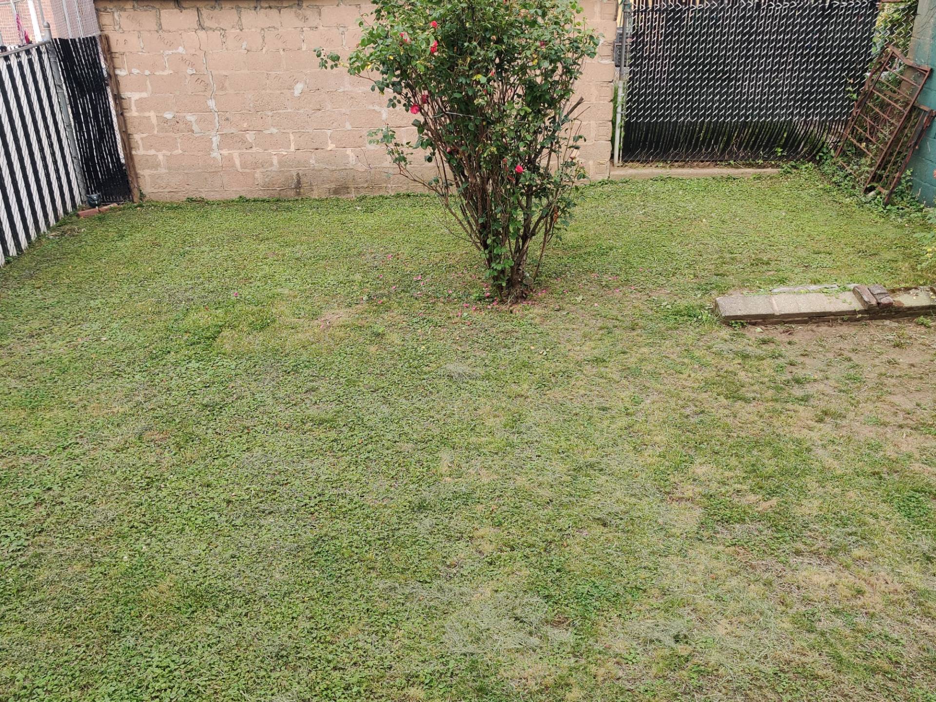 #11 photo, 599 East 2nd Street, #2, Kensington , NY 11218