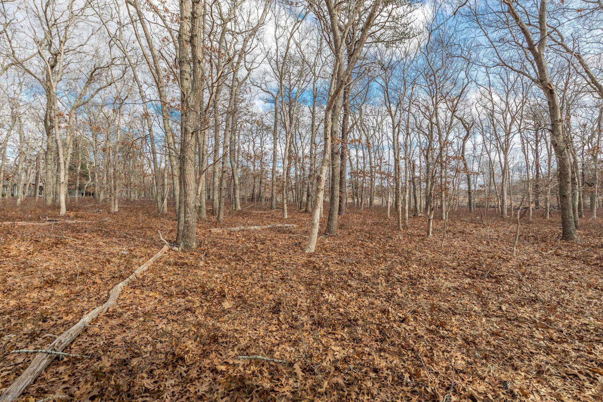 #6 photo, 240 Montauk Hwy & 5 Buckskill Rd, サフォーク郡 East Hampton , NY 11937