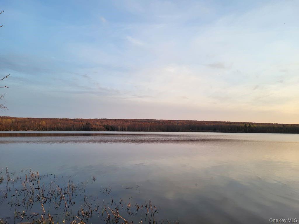 #13 photo, Lake Roxanne RT 11 Ellenburg Depot, Other , NY 12935