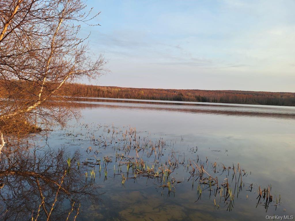 #14 photo, Lake Roxanne RT 11 Ellenburg Depot, Other , NY 12935