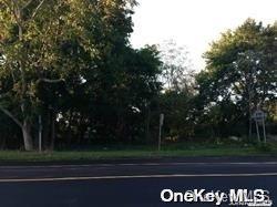 #6 photo, 25/58 NYS (52 Main Rd) Route, サフォーク郡 Riverhead , NY 11901