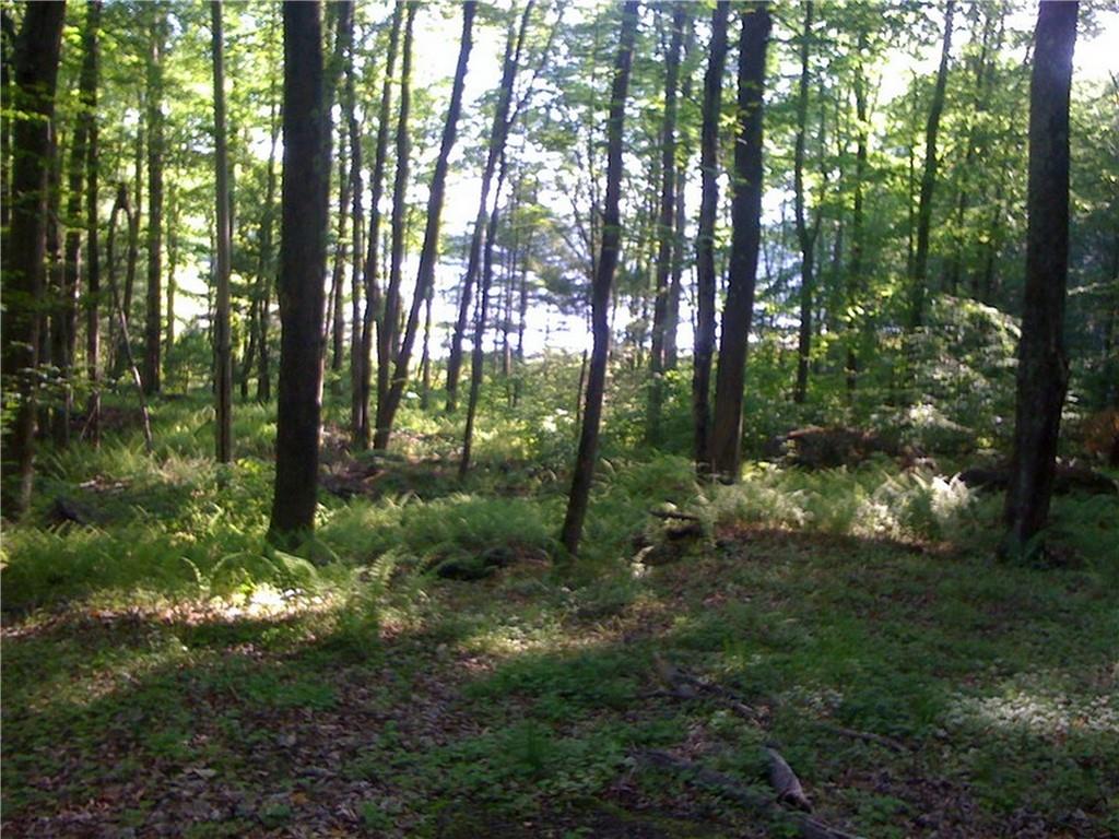 #3 photo, Lot 13 Woodstone Trail, Bethel , NY 12720