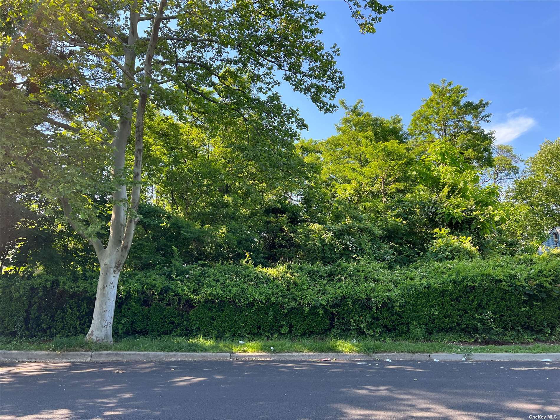 #1 photo, Bradley Street, Brentwood , NY 11717