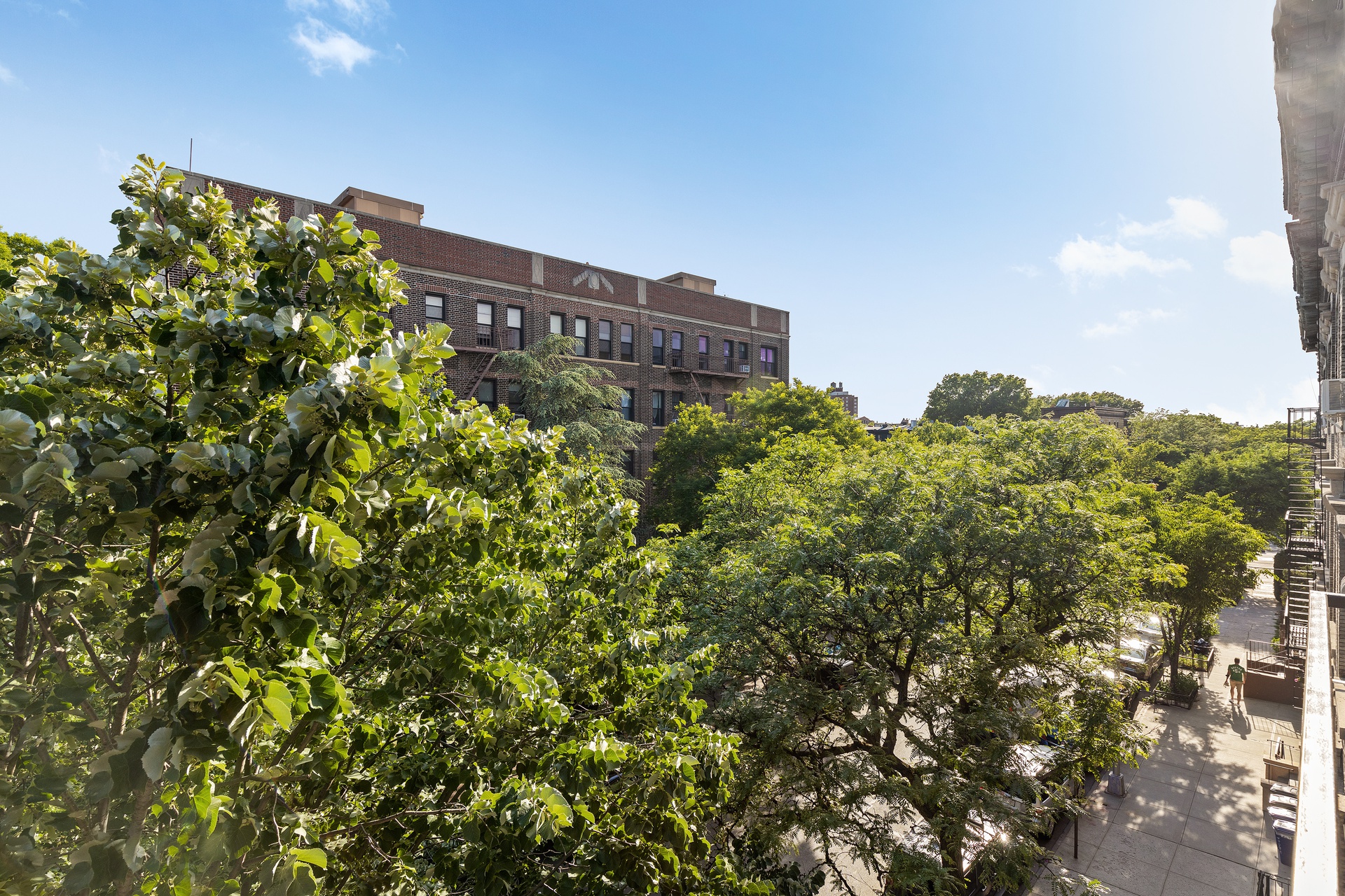 #11 photo, 349 Prospect Place, 展望高地 Prospect Heights , New York 11238