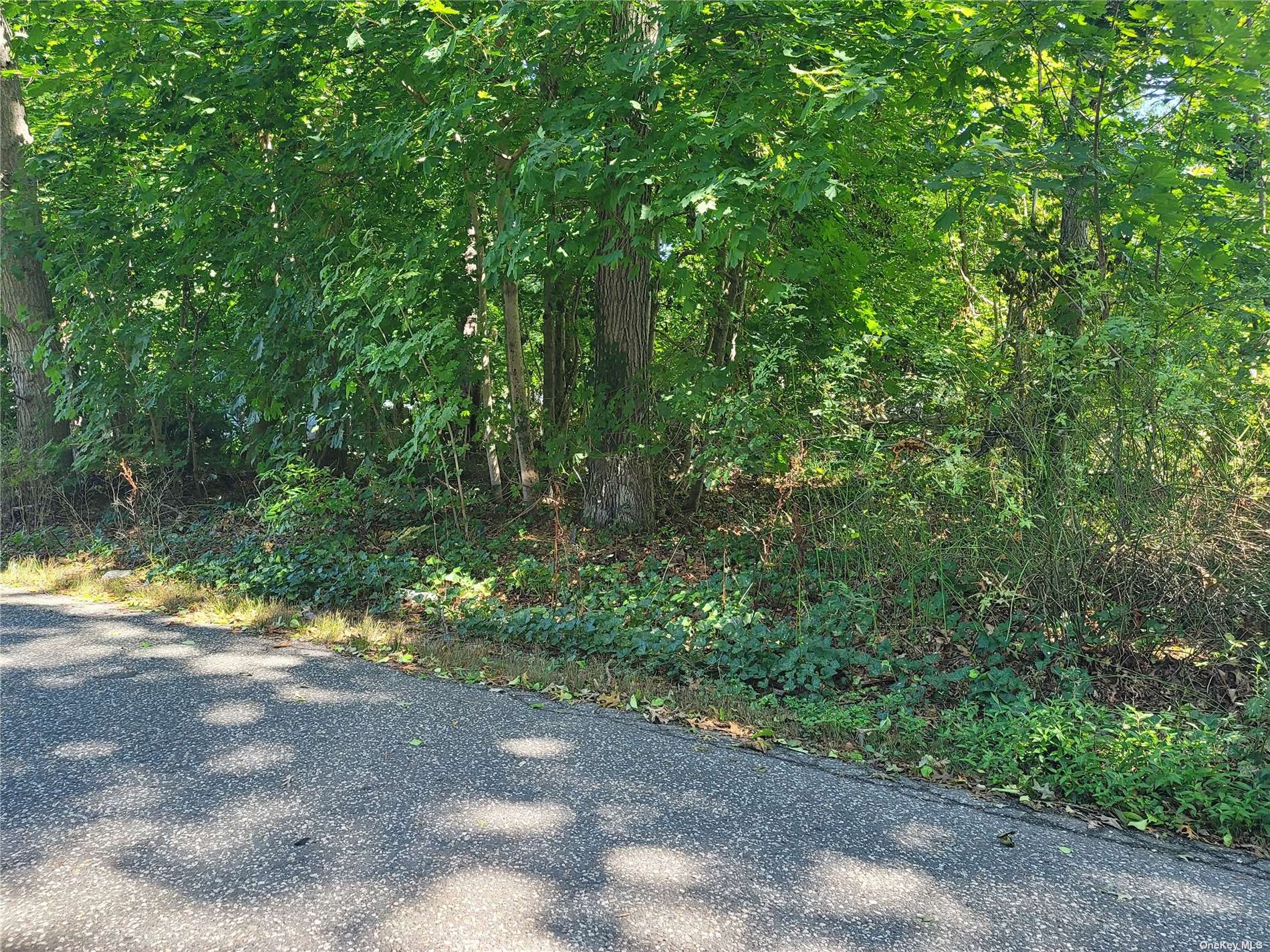 #1 photo, 71 Stuyvesant Avenue, 东长岛 Mastic , NY 11950