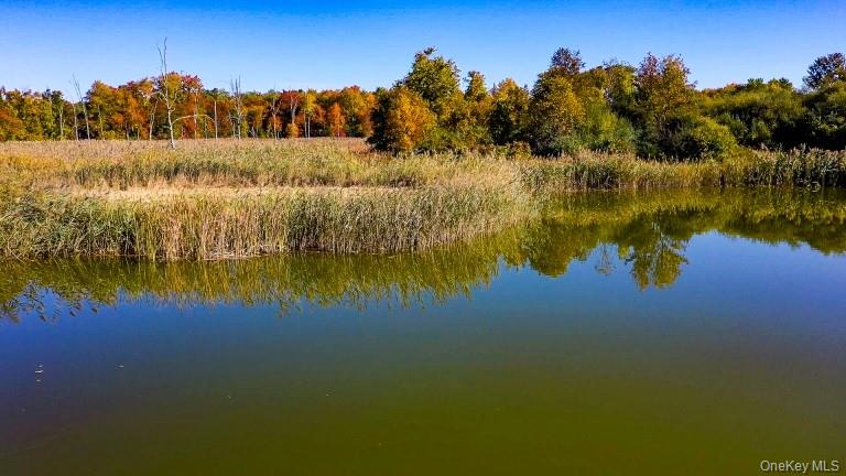 #6 photo, 225 Route 22, Pawling , NY 12564