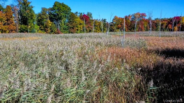 #7 photo, 225 Route 22, Pawling , NY 12564