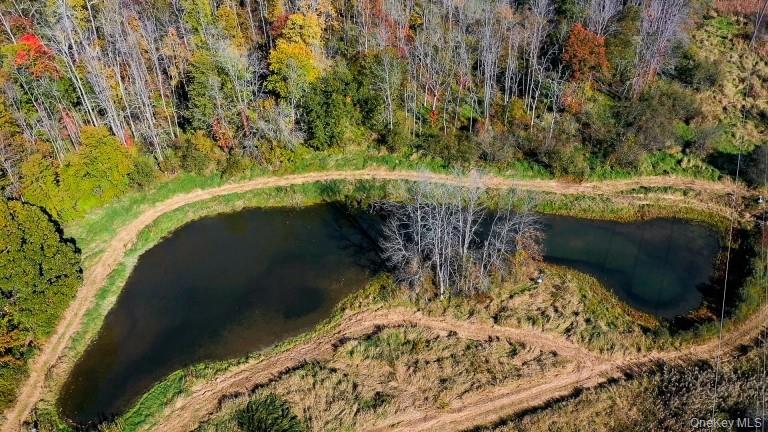 #9 photo, 225 Route 22, Pawling , NY 12564