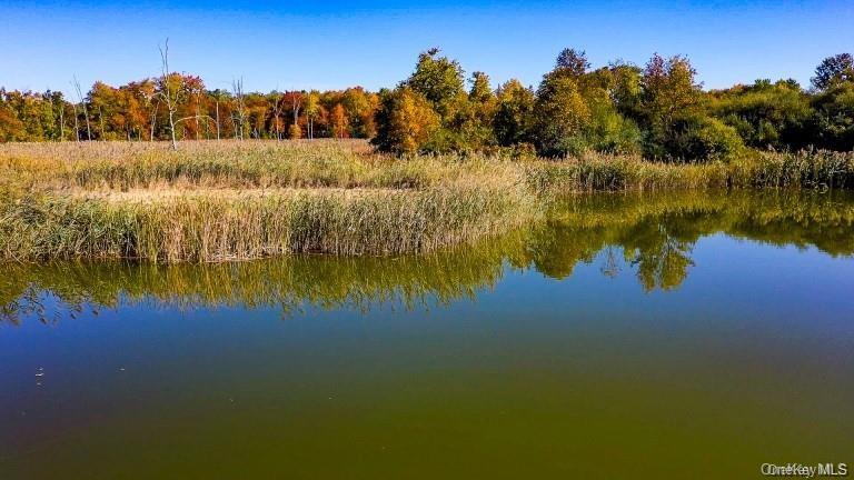 #6 photo, 225 Route 22, Pawling , NY 12564