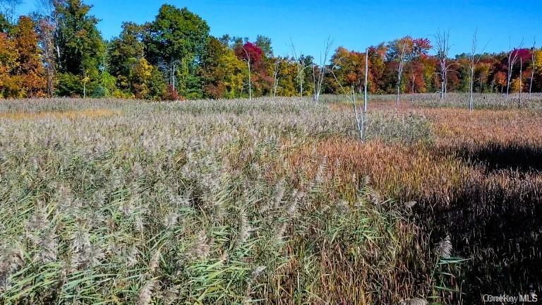 #7 photo, 225 Route 22, Pawling , NY 12564