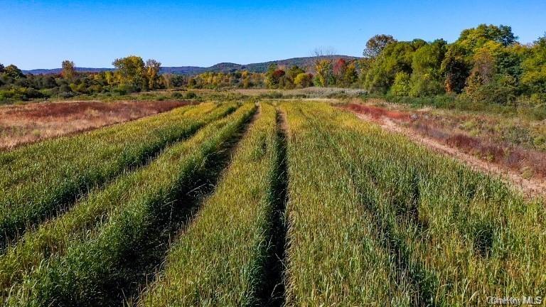 #8 photo, 225 Route 22, Pawling , NY 12564