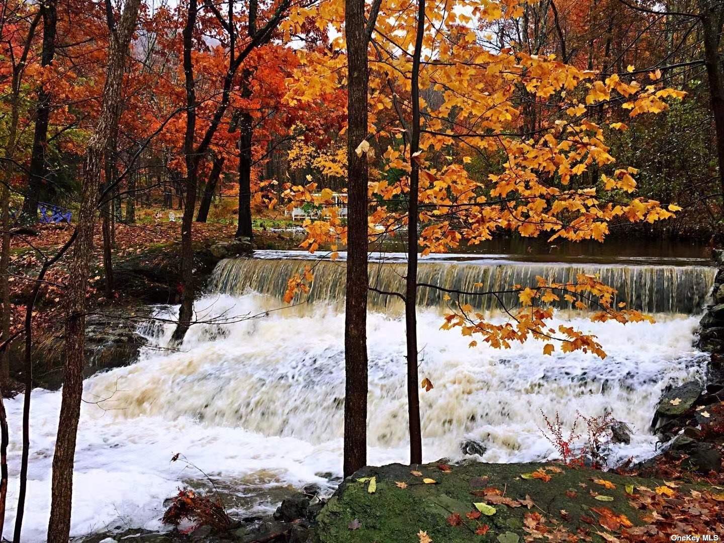 #1 photo, 1242 State Route 208, 纽约州 Blooming Grove , NY 10914