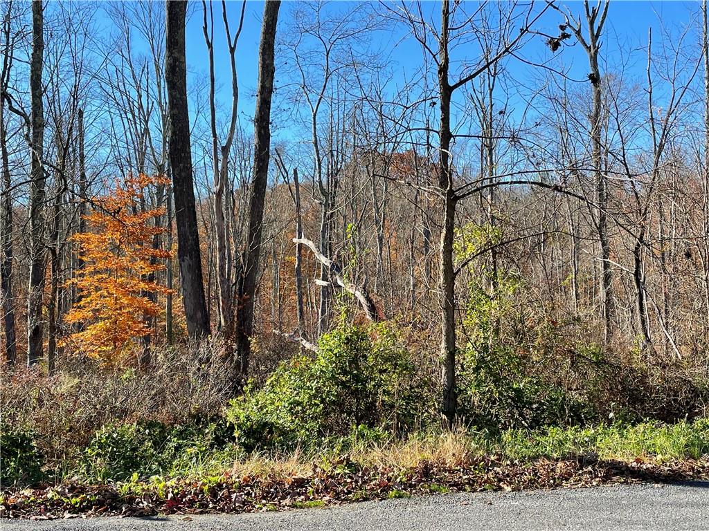 #2 photo, Lake Shore Drive, Pine Bush , NY 12566