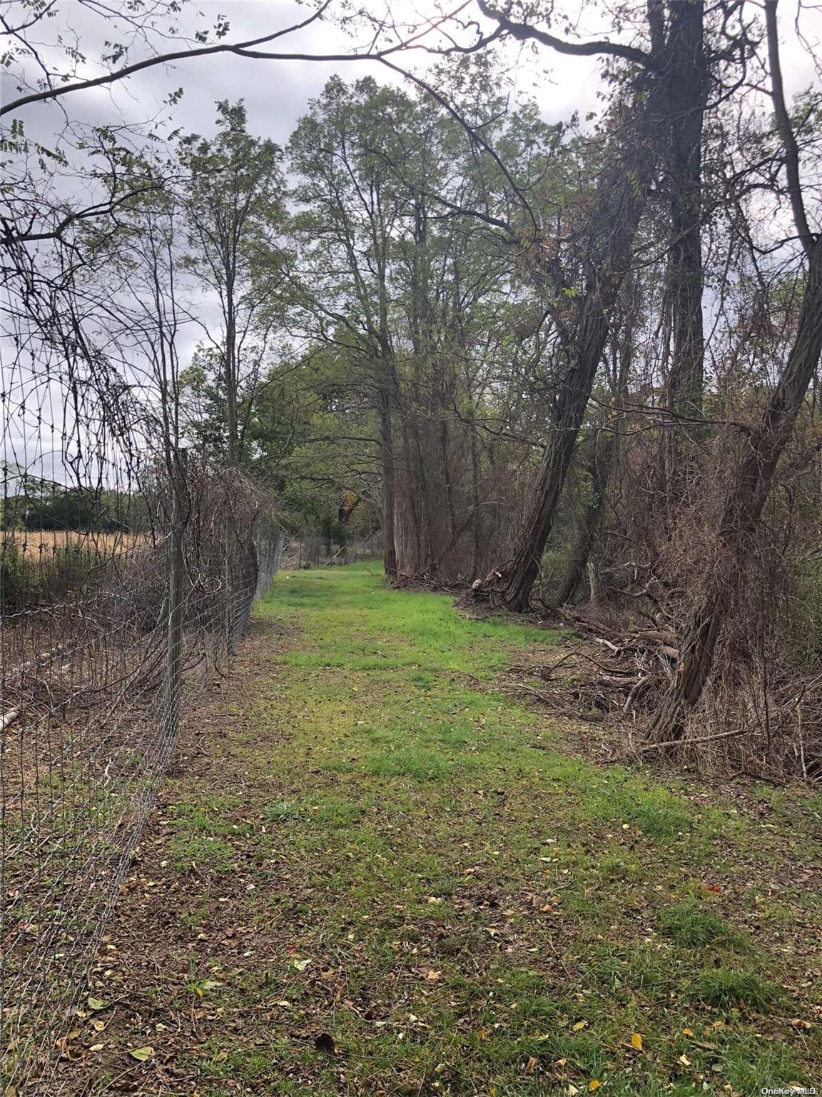 #11 photo, 62 Belleview Avenue, サフォーク郡 Center Moriches , NY 11934