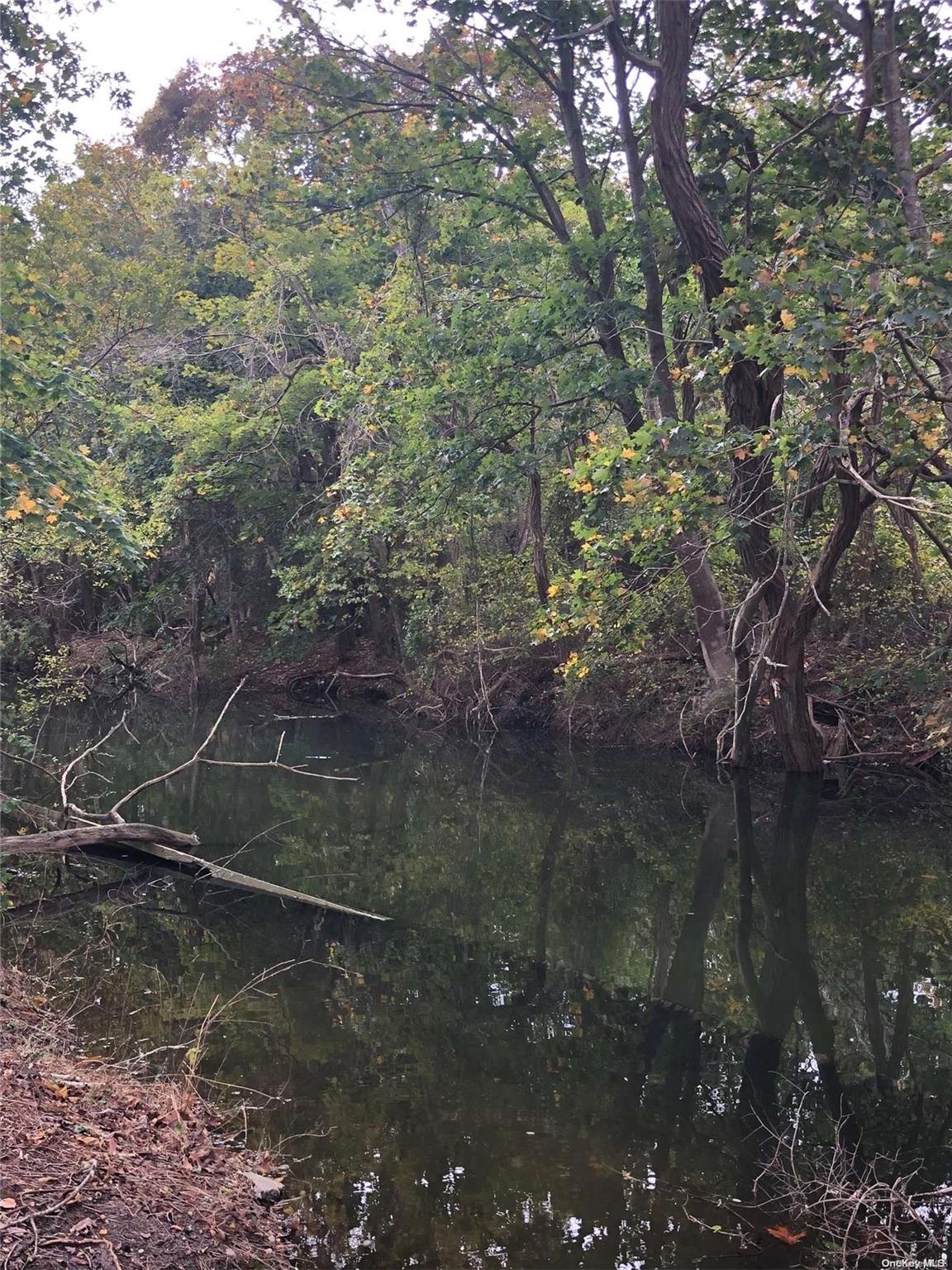 #12 photo, 62 Belleview Avenue, サフォーク郡 Center Moriches , NY 11934