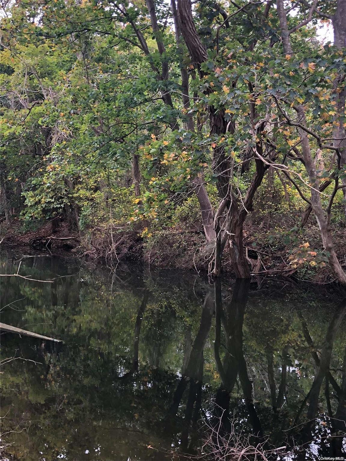 #6 photo, 62 Belleview Avenue, サフォーク郡 Center Moriches , NY 11934