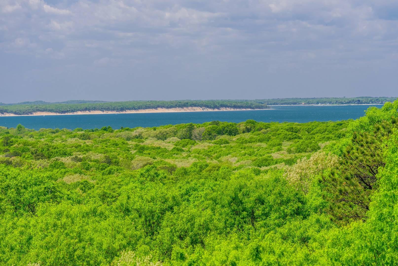 #4 photo, 28 Deer Ridge Trail, サフォーク郡 Water Mill , NY 11976