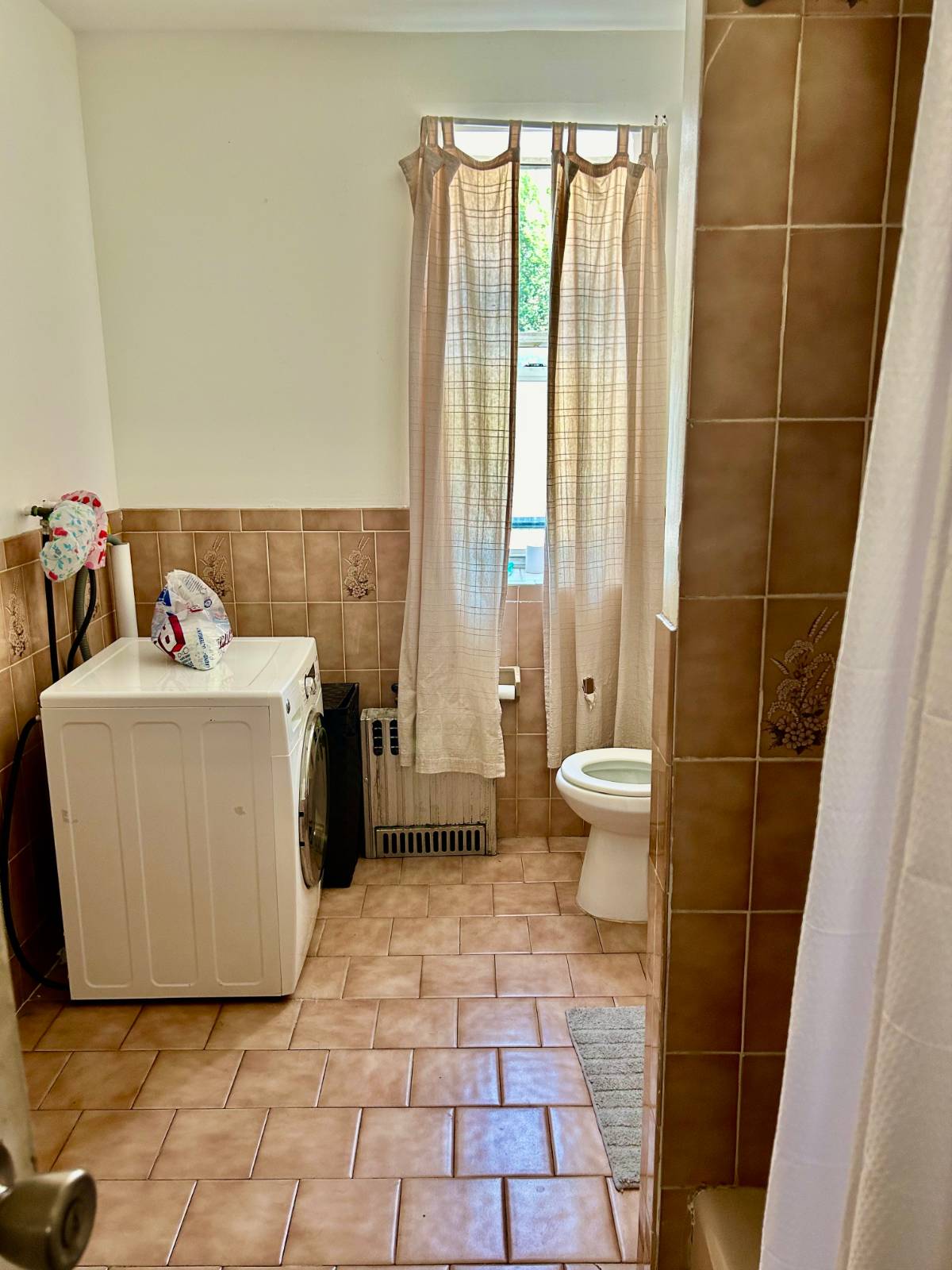 #21 photo, 1145 Eastern Parkway, ブルックリン区 Crown Heights , NY 11213