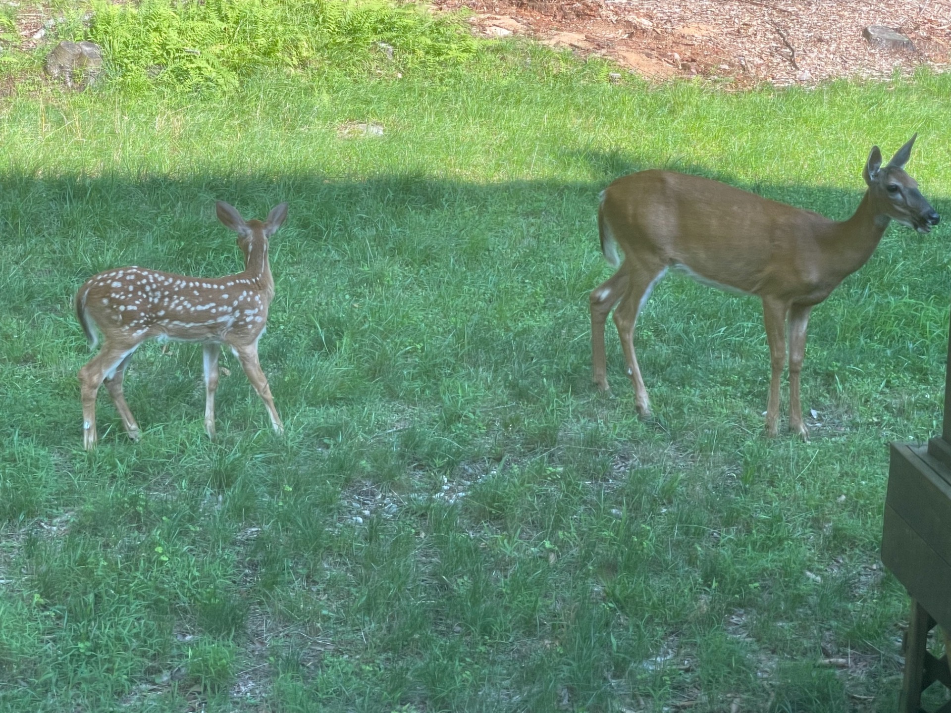 #14 photo, 12 Evans Rd., Hancock , NY 13783