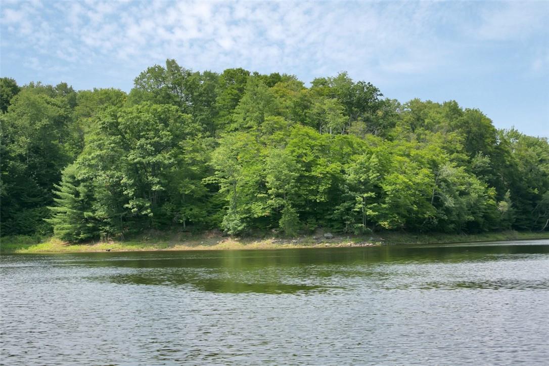 #8 photo, Whispering Woods Drive, Mongaup Valley , NY 12762