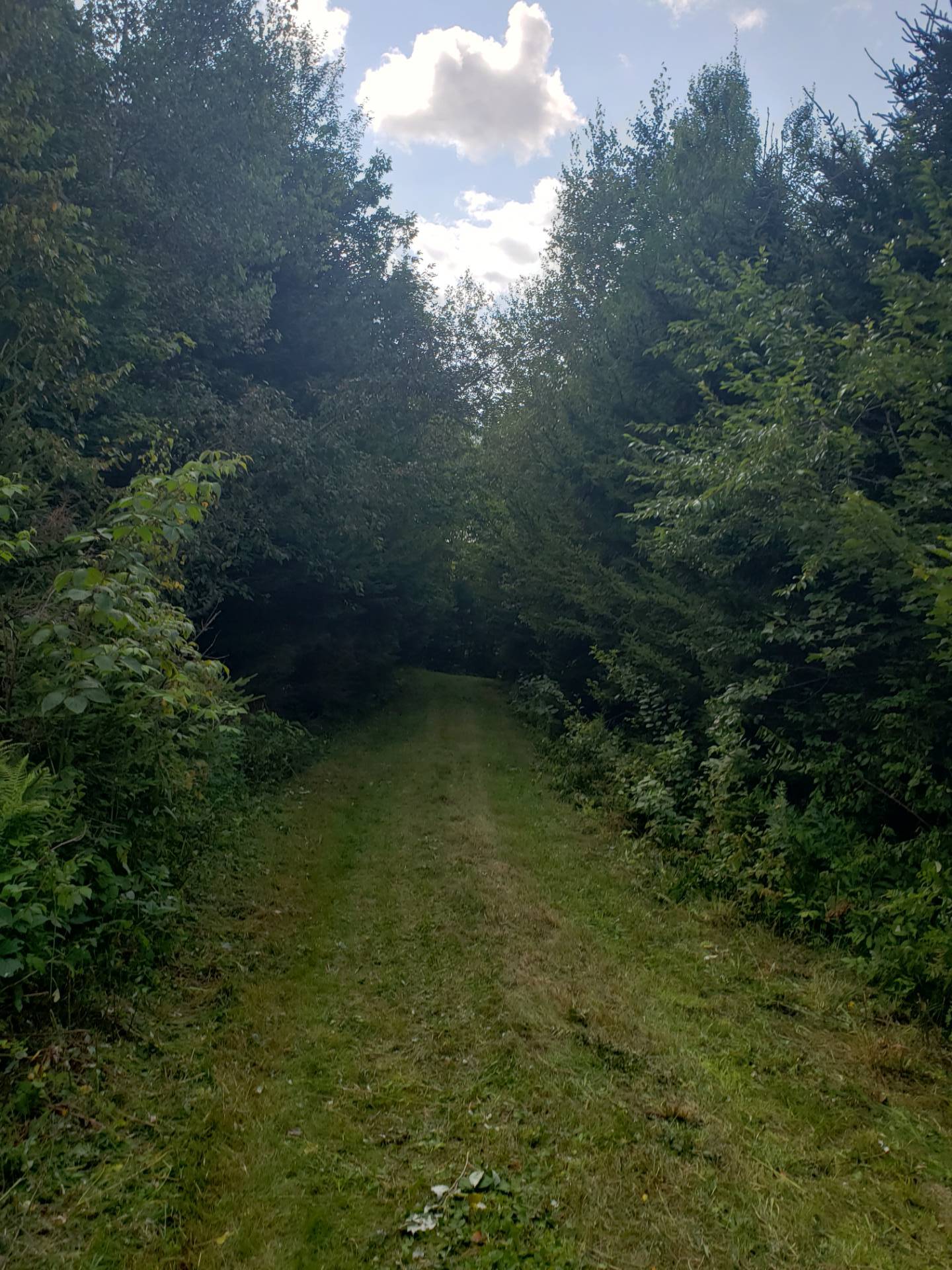 #16 photo, 110 Stone Road, Malone , NY 12953