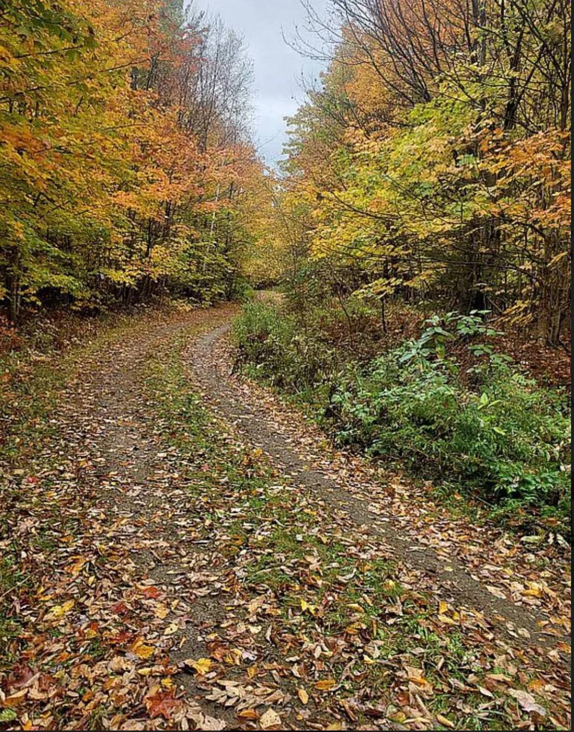 #17 photo, 110 Stone Road, Malone , NY 12953