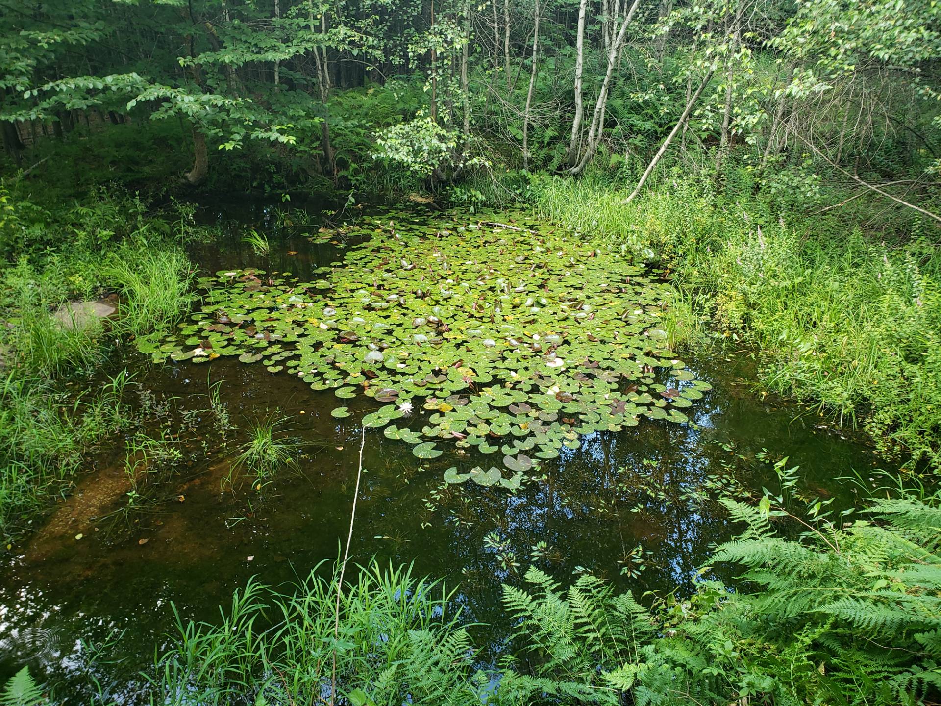 #19 photo, 110 Stone Road, Malone , NY 12953