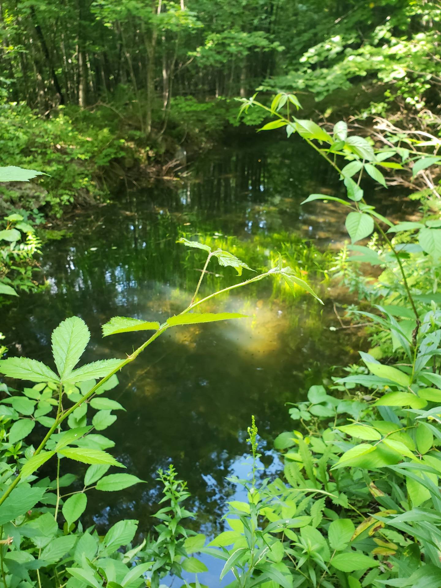 #20 photo, 110 Stone Road, Malone , NY 12953