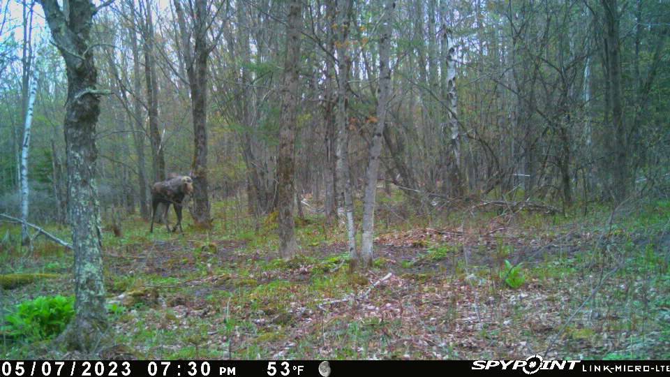 #23 photo, 110 Stone Road, Malone , NY 12953