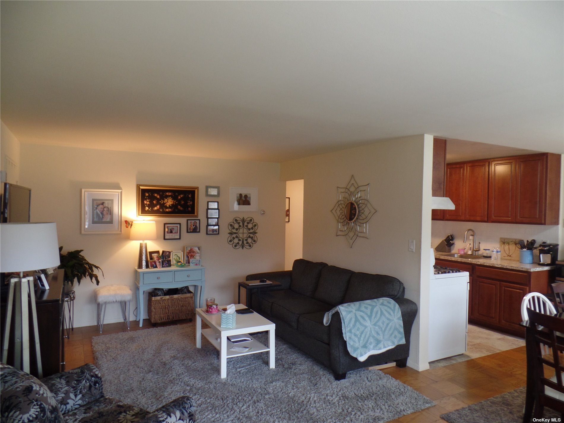 #1 photo, 1233 Melville Road, 東長島 Farmingdale , NY 11735