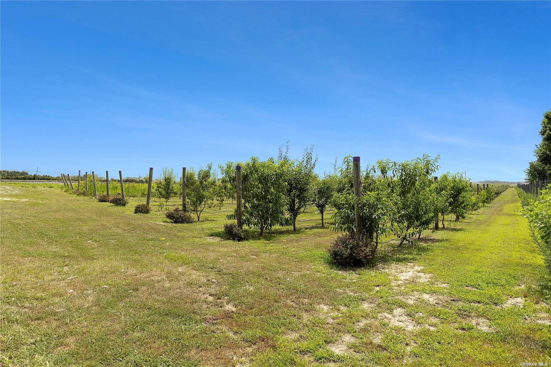 #10 photo, 3360 Sound Ave, サフォーク郡 Riverhead , NY 11901